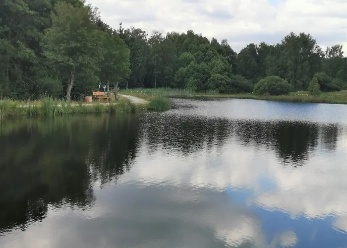 Clarissa * Allenbach